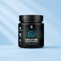Creatina Monohidratada B Life | 60 Servicios | Alta Pureza
